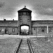 auschwits-birkenau