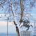 Copia-di-_MG_2448