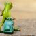 frog-897420_960_720