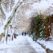 snowing-in-thess