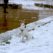 thessaloniki-and-the-snow
