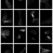 62500568_2316014675181320_3162329663506743296_n