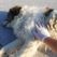 thumbnail_IMG_20190711_194046