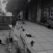 thumbnail_groupe-de-chats-noir-et-blanc