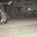 B-Boy Alex