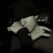 yacine 24