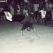 B-Boy Terpo