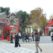 christmas-market