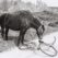 horse vs bike