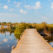 Camargue_549057_source