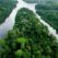 French Guiana river