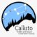 Callisto-1