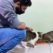 Khuram with cats