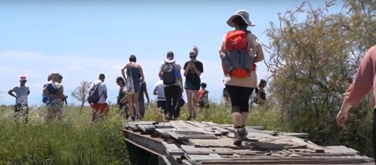 Cleaning Activity at “Axios Delta” National Park