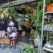 Wakila Green and Organic