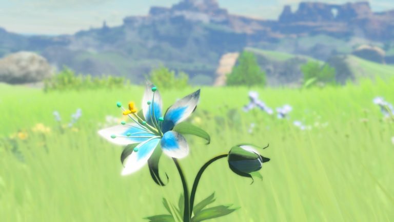 image from The legend of Zelda:Breath of the wild, this game has beautiful graphics and breathtaking views in a semi portative console.