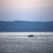 refugee-greek-island-of-lesbos