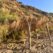 IMG-20230710-WA0037