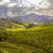 paul-vincent-roll-c61jL_NpAn8-unsplash