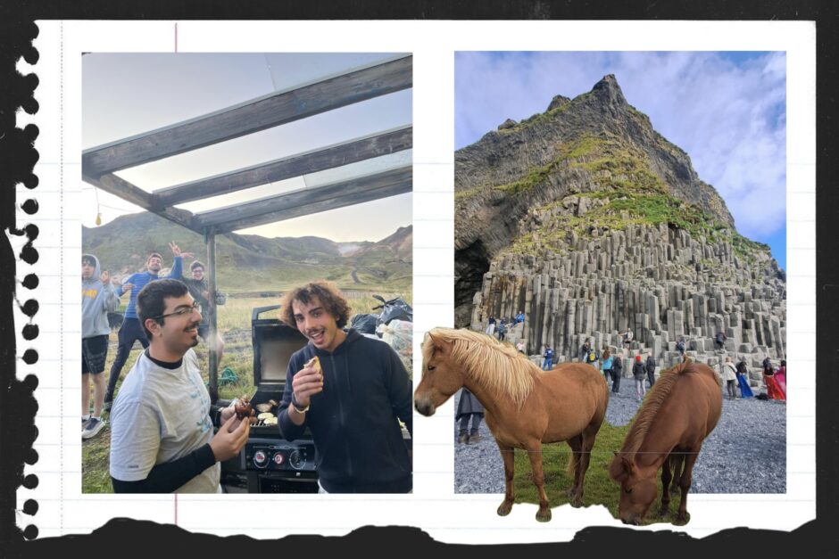 Barbeque, nature, BBQ, discovering