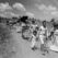 Palestinian refugees fleeing their homes near Haifa, June 1948 Credit_ Corbis